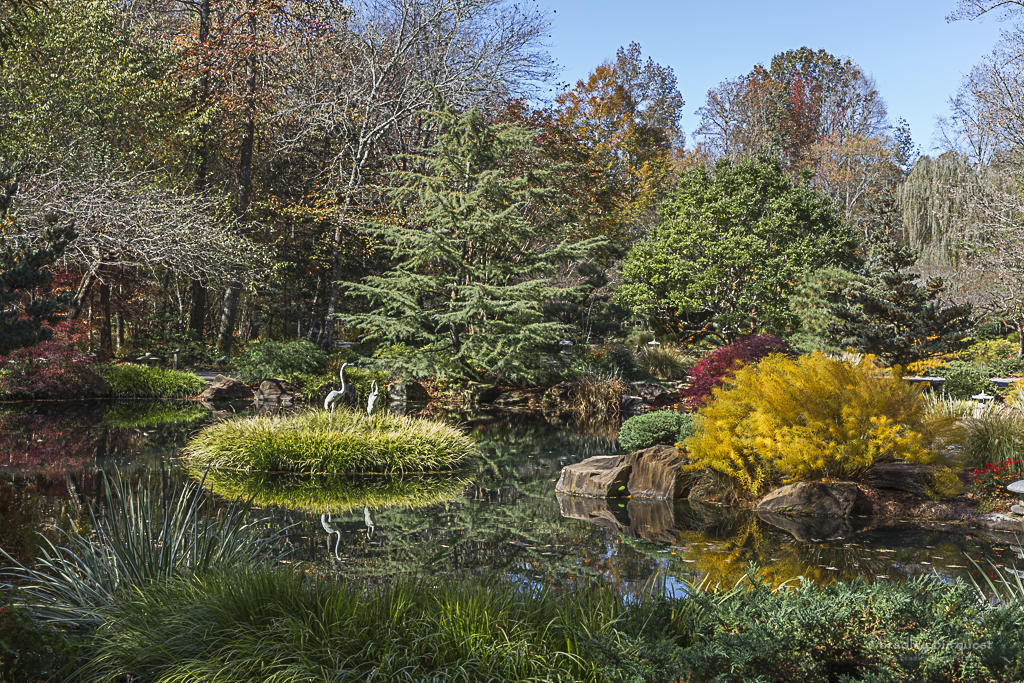 Japanese Garden, Gibb's Gardens